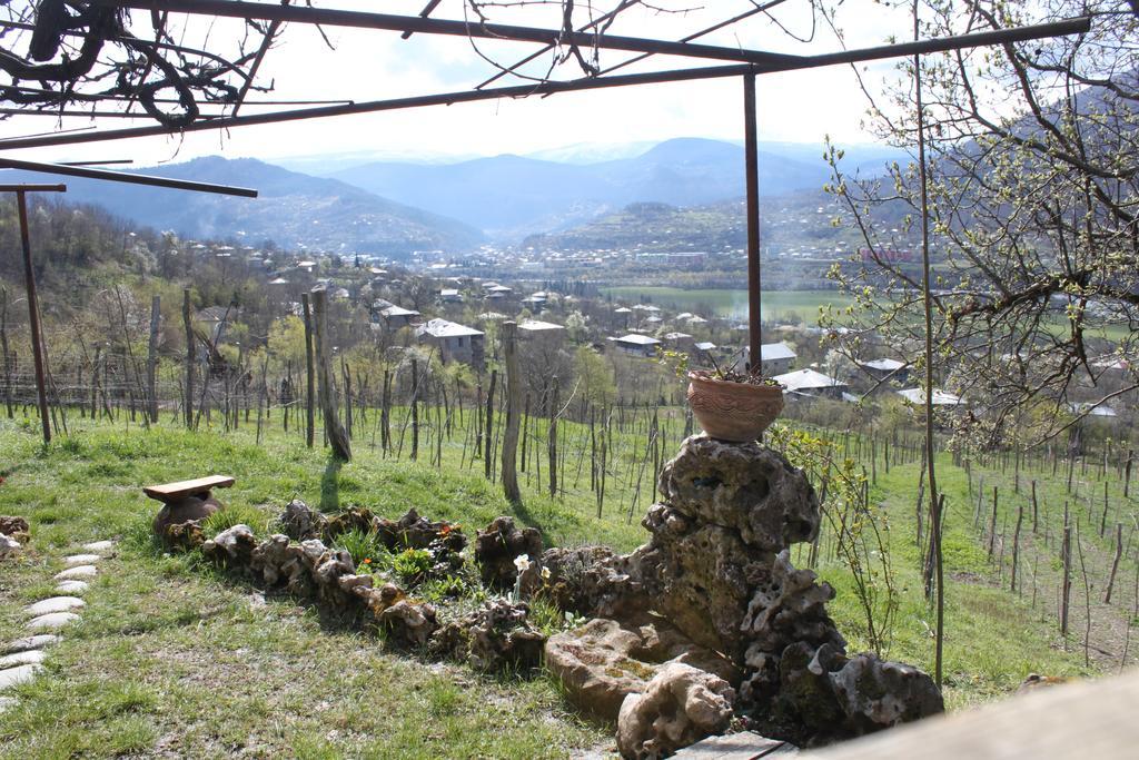 Chateau Dio